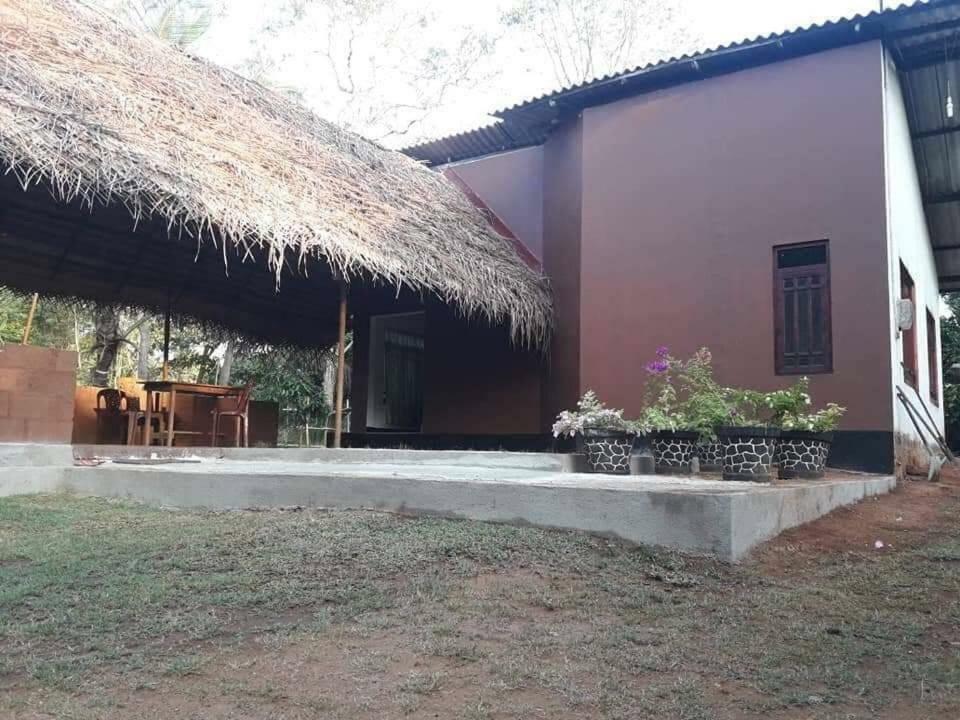 Gimanhala Cottage & Cookary Class Anuradhápura Exteriér fotografie